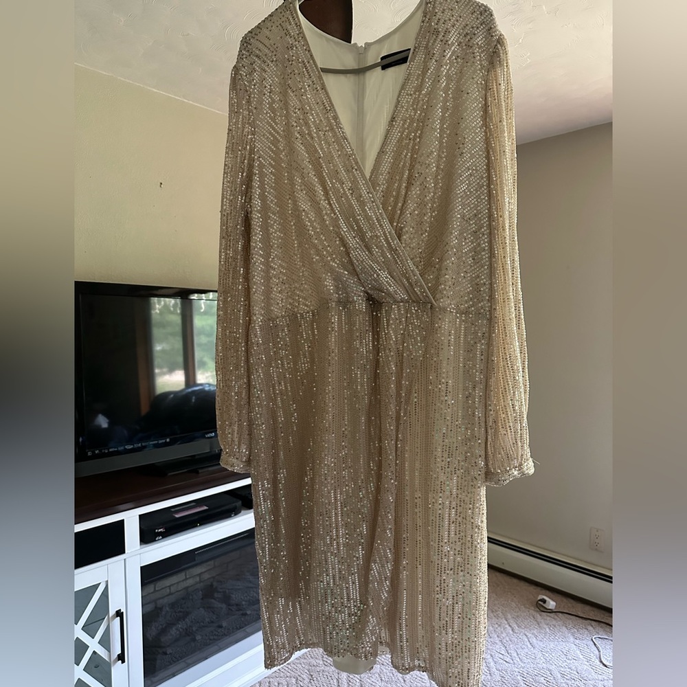 Lane Bryant Ivory sequin dress NWT 24